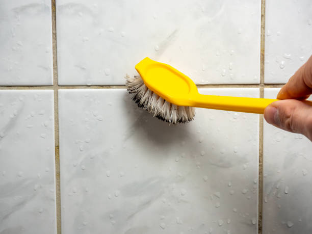 Best Mold Cleaning Services  in Newstle, CA