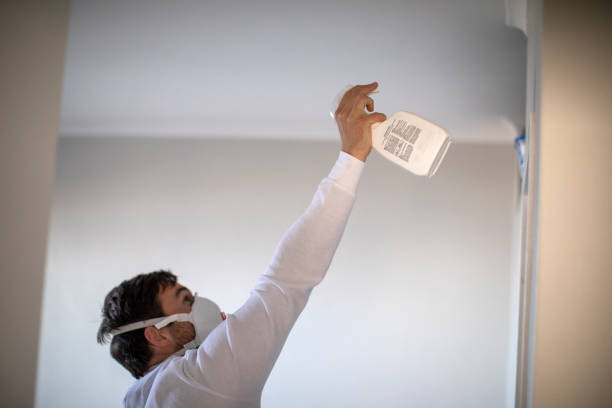 Best Professional Mold Removal  in Newstle, CA
