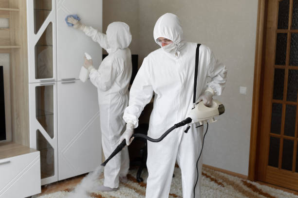 Best Commercial Mold Removal  in Newstle, CA