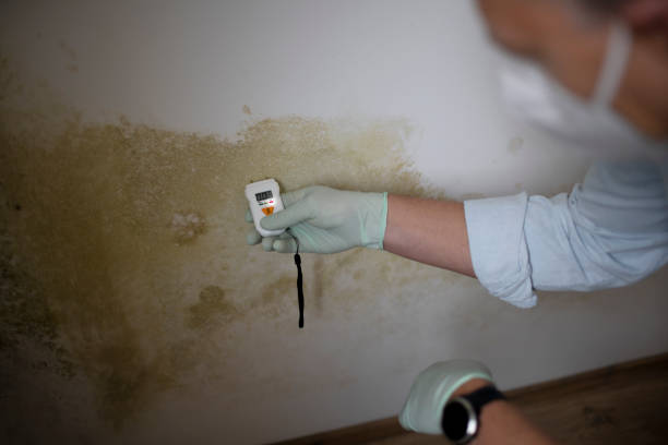 Best Crawl Space Mold Removal  in Newstle, CA