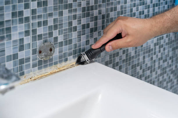 Professional Mold Removal in Newcastle, CA