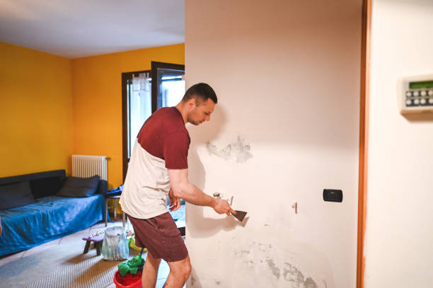 Newcastle, CA Mold Removal Company