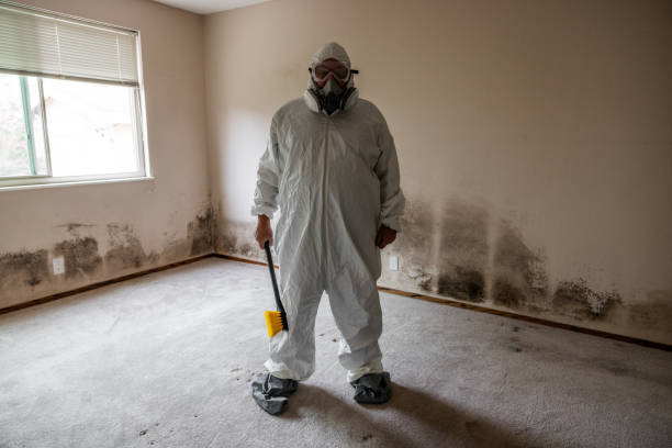 Best Toxic Mold Removal  in Newstle, CA